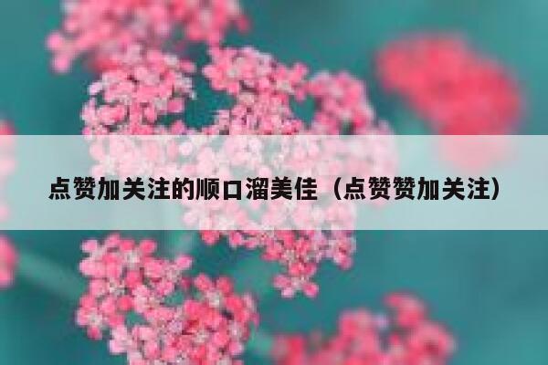 点赞加关注的顺口溜美佳（点赞赞加关注） 第1张