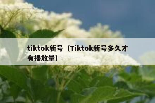 tiktok新号(Tiktok新号多久才有播放量) 第1张 tiktok新号(Tiktok新号多久才有播放量) 第1张