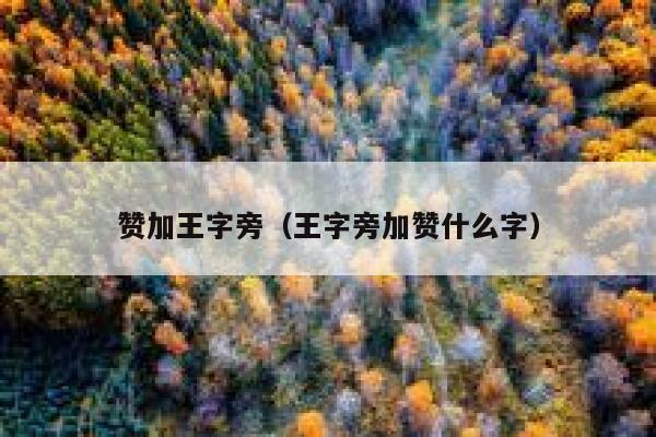 赞加王字旁（王字旁加赞什么字） 第1张