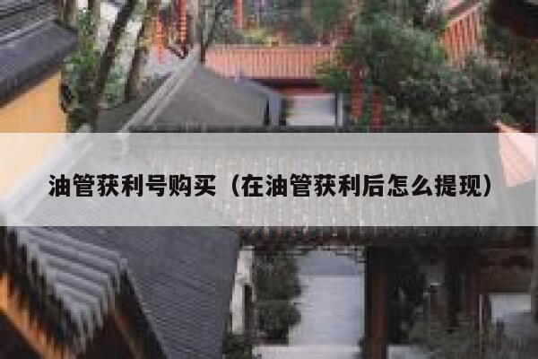油管获利号购买（在油管获利后怎么提现） 第1张
