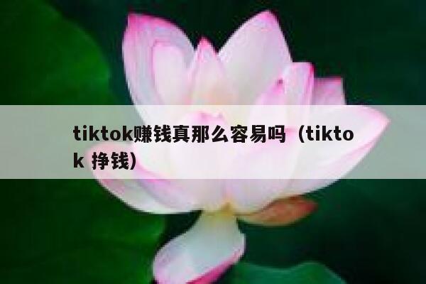 tiktok赚钱真那么容易吗(tiktok 挣钱) 第1张 tiktok赚钱真那么容易吗(tiktok 挣钱) 第1张