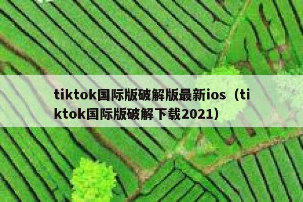 tiktok国际版破解版最新ios(tiktok国际版破解下载2021) 第1张 tiktok国际版破解版最新ios(tiktok国际版破解下载2021) 第1张