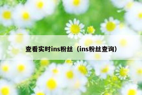 查看实时ins粉丝(ins粉丝查询) 第1张 查看实时ins粉丝(ins粉丝查询) 第1张