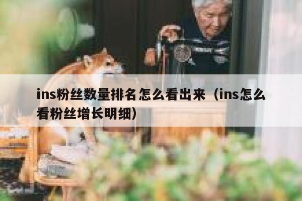 ins粉丝数量排名怎么看出来(ins怎么看粉丝增长明细) 第1张 ins粉丝数量排名怎么看出来(ins怎么看粉丝增长明细) 第1张