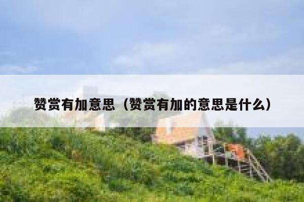 赞赏有加意思(赞赏有加的意思是什么) 第1张 赞赏有加意思(赞赏有加的意思是什么) 第1张