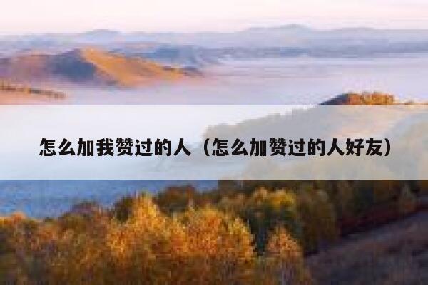怎么加我赞过的人（怎么加赞过的人好友） 第1张