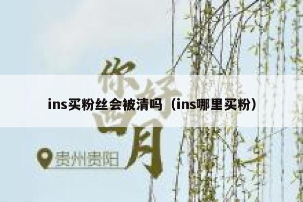 ins买粉丝会被清吗(ins哪里买粉) 第1张 ins买粉丝会被清吗(ins哪里买粉) 第1张