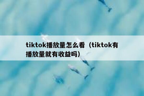 tiktok播放量怎么看(tiktok有播放量就有收益吗) 第1张 tiktok播放量怎么看(tiktok有播放量就有收益吗) 第1张