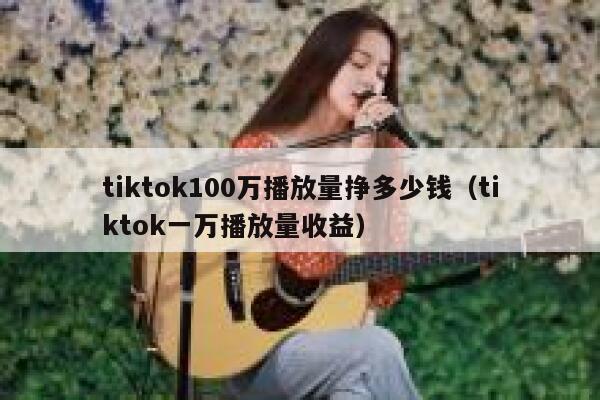 tiktok100万播放量挣多少钱（tiktok一万播放量收益） 第1张