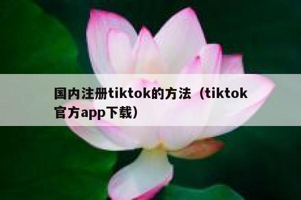 国内注册tiktok的方法（tiktok官方app下载） 第1张