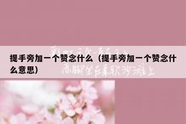 提手旁加一个赞念什么（提手旁加一个赞念什么意思） 第1张