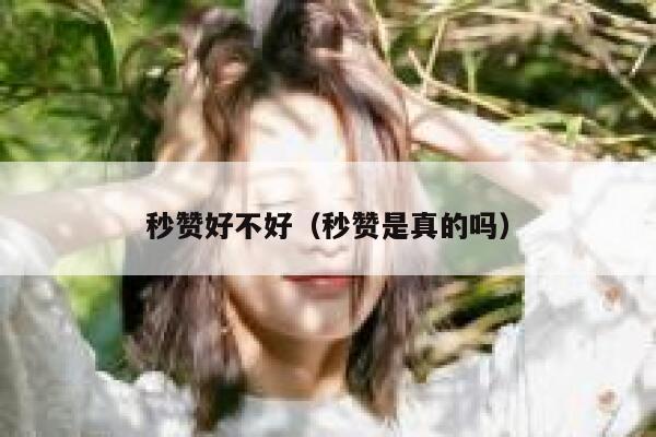 秒赞好不好(秒赞是真的吗) 第1张 秒赞好不好(秒赞是真的吗) 第1张