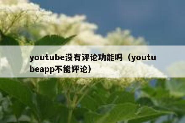 youtube没有评论功能吗（youtubeapp不能评论） 第1张