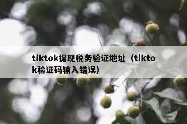 tiktok提现税务验证地址（tiktok验证码输入错误） 第1张