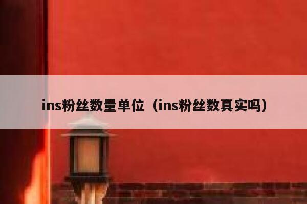 ins粉丝数量单位（ins粉丝数真实吗） 第1张
