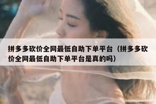 拼多多砍价全网最低自助下单平台（拼多多砍价全网最低自助下单平台是真的吗） 第1张