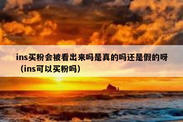 ins买粉会被看出来吗是真的吗还是假的呀（ins可以买粉吗） 第1张