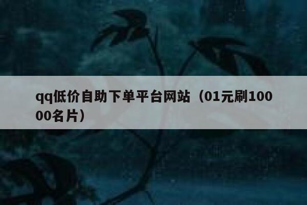 qq低价自助下单平台网站（01元刷10000名片） 第1张