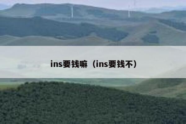 ins要钱嘛（ins要钱不） 第1张