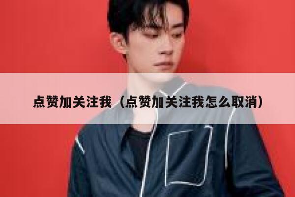 点赞加关注我（点赞加关注我怎么取消） 第1张