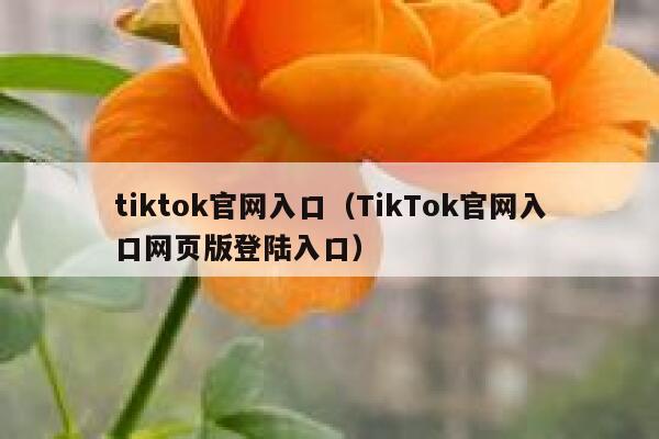 tiktok官网入口（TikTok官网入口网页版登陆入口） 第1张