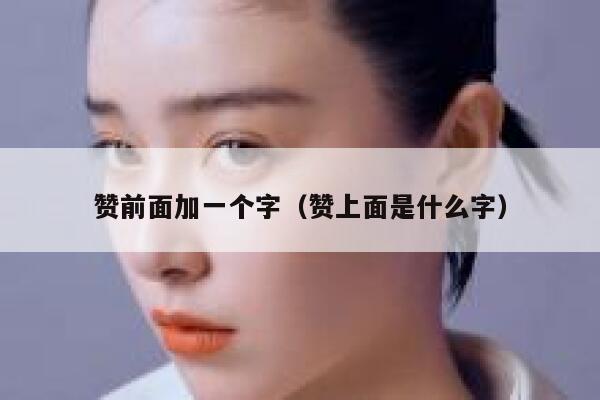 赞前面加一个字（赞上面是什么字） 第1张