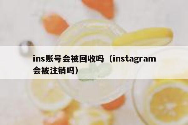 ins账号会被回收吗（instagram会被注销吗） 第1张