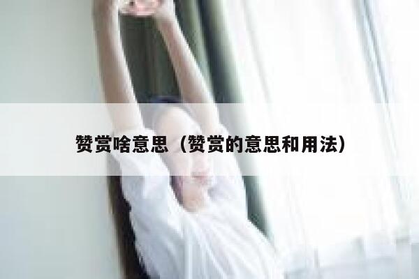 赞赏啥意思（赞赏的意思和用法） 第1张