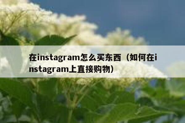 在instagram怎么买东西（如何在instagram上直接购物） 第1张