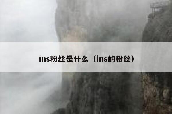 ins粉丝是什么(ins的粉丝) 第1张 ins粉丝是什么(ins的粉丝) 第1张