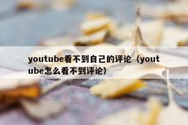 youtube看不到自己的评论(youtube怎么看不到评论) 第1张 youtube看不到自己的评论(youtube怎么看不到评论) 第1张