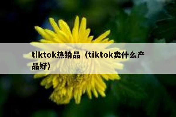 tiktok热销品(tiktok卖什么产品好) 第1张 tiktok热销品(tiktok卖什么产品好) 第1张