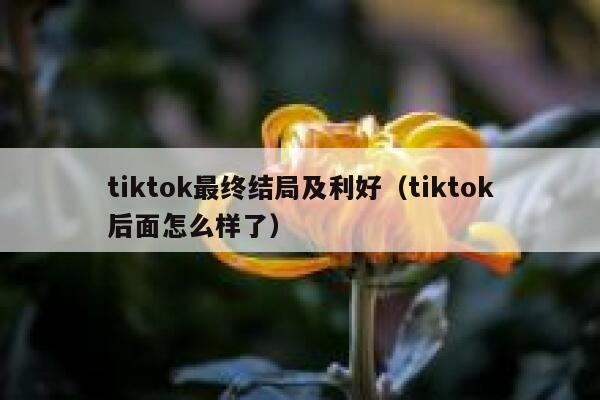 tiktok最终结局及利好(tiktok后面怎么样了) 第1张 tiktok最终结局及利好(tiktok后面怎么样了) 第1张