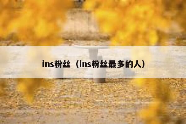 ins粉丝(ins粉丝最多的人) 第1张 ins粉丝(ins粉丝最多的人) 第1张