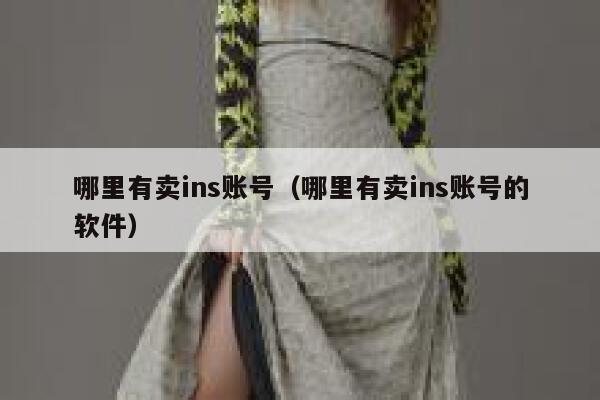 哪里有卖ins账号（哪里有卖ins账号的软件） 第1张