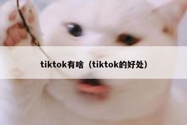 tiktok有啥（tiktok的好处） 第1张