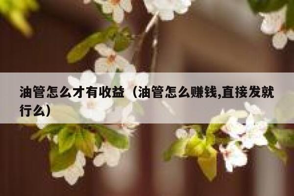 油管怎么才有收益（油管怎么赚钱,直接发就行么） 第1张