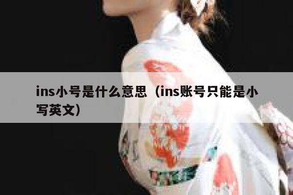 ins小号是什么意思(ins账号只能是小写英文) 第1张 ins小号是什么意思(ins账号只能是小写英文) 第1张