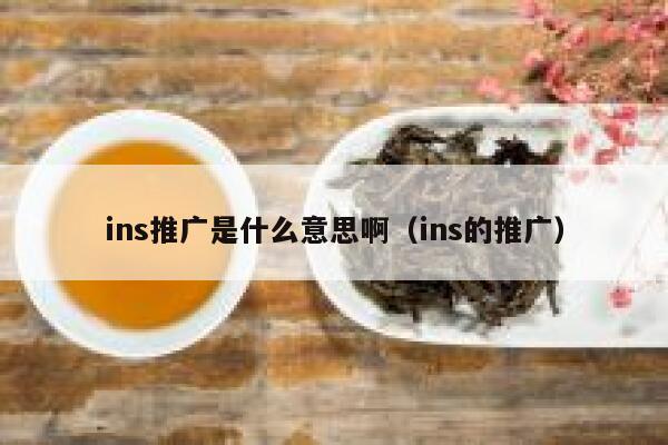 ins推广是什么意思啊（ins的推广） 第1张