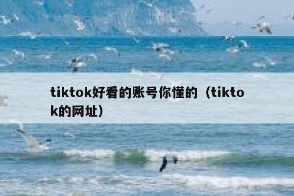 tiktok好看的账号你懂的（tiktok的网址） 第1张