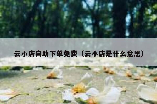 云小店自助下单免费（云小店是什么意思） 第1张
