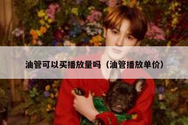 油管可以买播放量吗（油管播放单价） 第1张