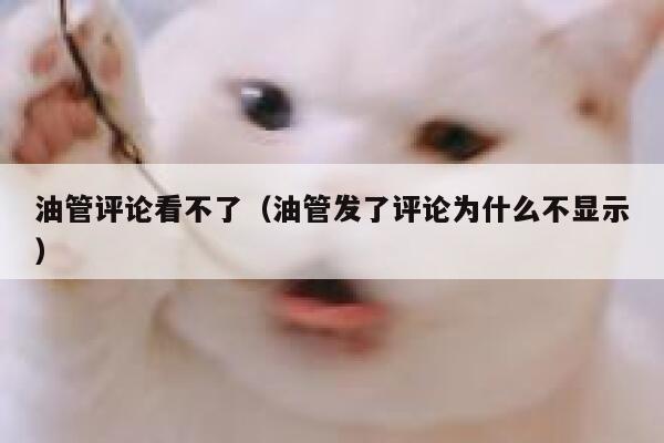 油管评论看不了（油管发了评论为什么不显示） 第1张