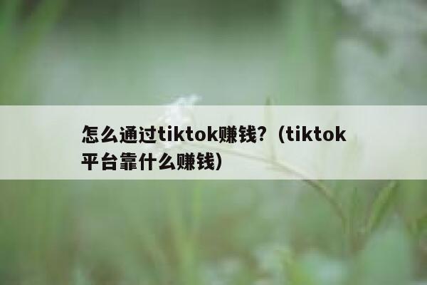 怎么通过tiktok赚钱?（tiktok平台靠什么赚钱） 第1张