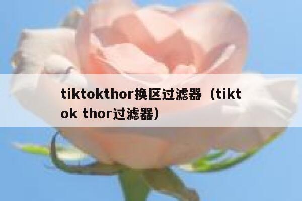 tiktokthor换区过滤器（tiktok thor过滤器） 第1张