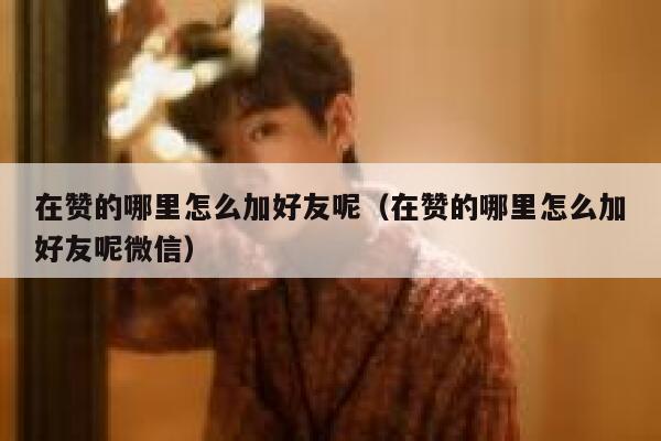 在赞的哪里怎么加好友呢（在赞的哪里怎么加好友呢微信） 第1张