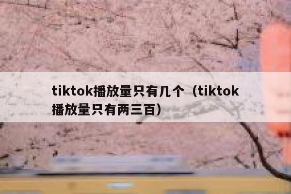 tiktok播放量只有几个（tiktok播放量只有两三百） 第1张