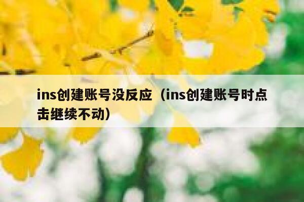 ins创建账号没反应（ins创建账号时点击继续不动） 第1张
