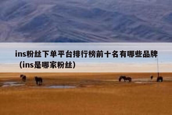 ins粉丝下单平台排行榜前十名有哪些品牌（ins是哪家粉丝） 第1张