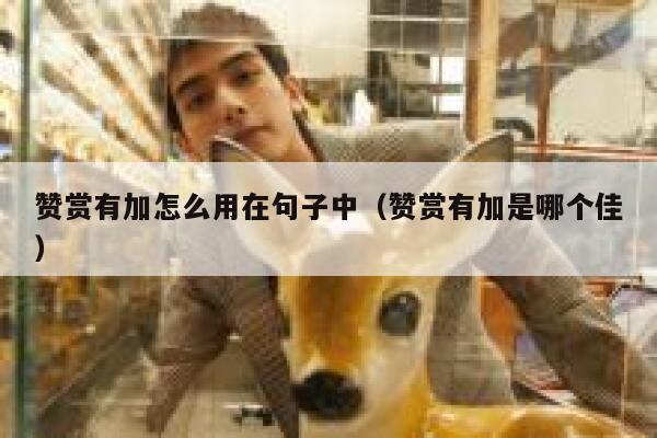 赞赏有加怎么用在句子中(赞赏有加是哪个佳) 第1张 赞赏有加怎么用在句子中(赞赏有加是哪个佳) 第1张